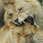 Collision of SEO and Social – Where’s the Creepy Line?