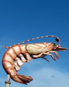 Jumbo shrimp - the classic oxymoron